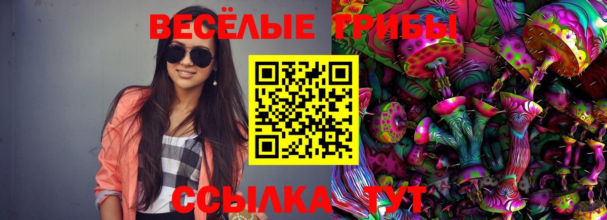 Кстово  Псилоцибиновые грибы Psilocybe  Вход с VPN 